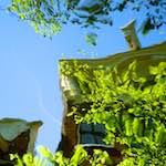 Image: Seventh image from the photoset 'amsterdam (vi)'.