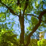 Image: Eighth image from the photoset 'amsterdam (vi)'.