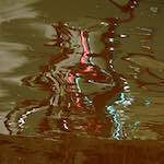 Image: Fourth image from the photoset 'amsterdam (vii)'.