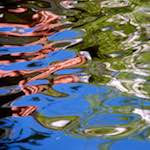 Image: Seventh image from the photoset 'amsterdam (vii)'.