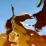 Image: Eighth image from the photoset 'amsterdam (vii)'.