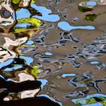 Image: Fifth image from the photoset 'amsterdam (ix)'.