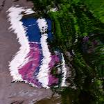 Image: Seventh image from the photoset 'amsterdam (x)'.