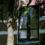 Image: Third image from the photoset 'amsterdam (xi)'.