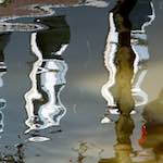 Image: Seventh image from the photoset 'amsterdam (xi)'.