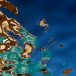 Image: First image from the photoset 'amsterdam (xiii)'.