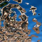 Image: Second image from the photoset 'amsterdam (xiii)'.