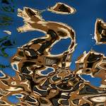 Image: Third image from the photoset 'amsterdam (xiii)'.