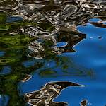 Image: Fifth image from the photoset 'amsterdam (xiii)'.