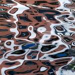 Image: Seventh image from the photoset 'amsterdam (xiii)'.