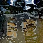 Image: Seventh image from the photoset 'amsterdam (xiv)'.