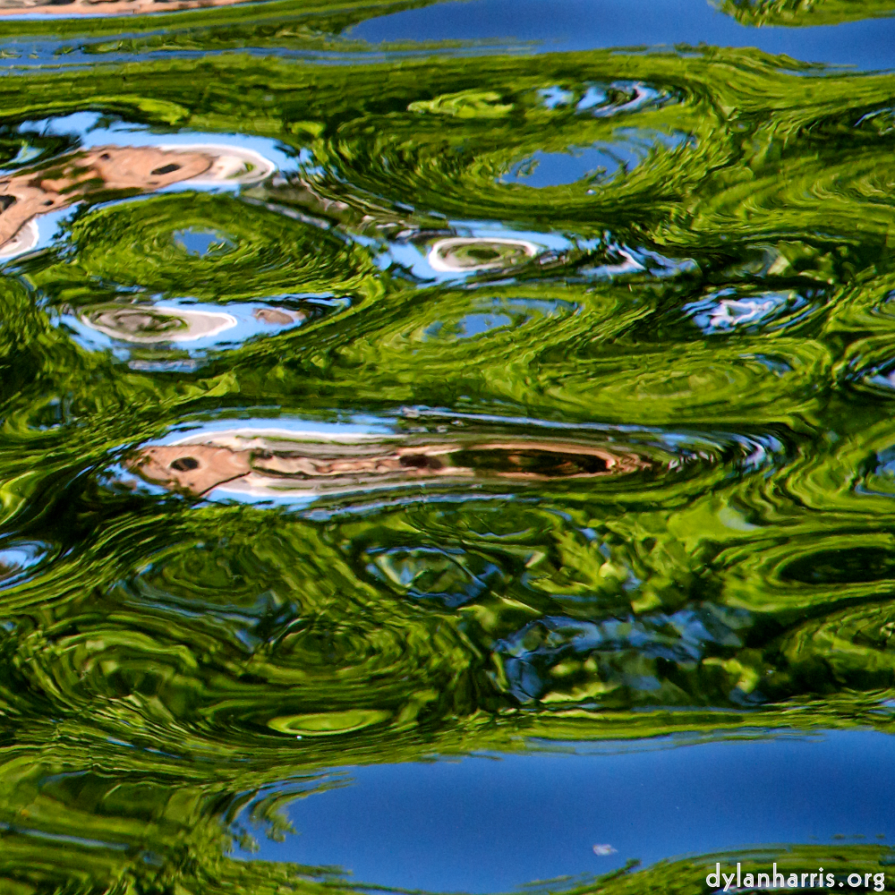 Image 'amsterdam (xv) 4'.