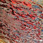 Image: First image from the photoset 'amsterdam (xv)'.