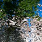 Image: Eighth image from the photoset 'amsterdam (xv)'.