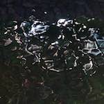 Image: Fourth image from the photoset 'amersfoort (ii)'.