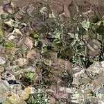 Image: Seventh image from the photoset 'amersfoort (ii)'.