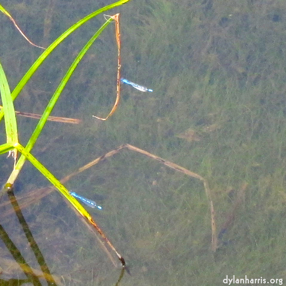 Image: Image 'rham (i) 2'.