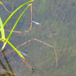 Image: Second image from the photoset 'rham (i)'.