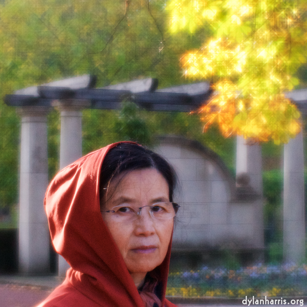 image: This is ‘
L (xvi) 1
’.