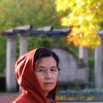 image: Image from the photoset ‘
L (xvi)
’.