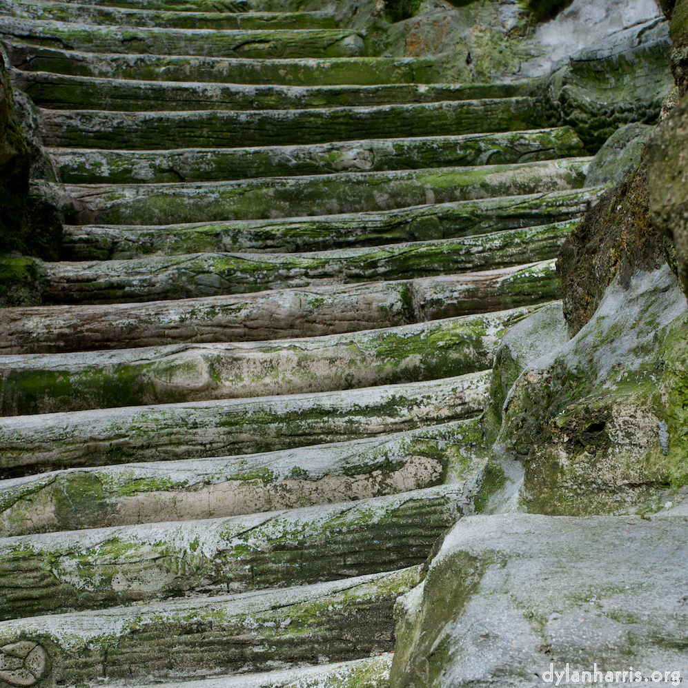 Image 'parc (ii) 10'.