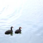 Image: First image from the photoset 'eindhoven (viii)'.