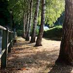 Image: Fifth image from the photoset 'way to work (ii)'.