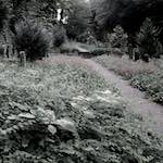 Image: Eighth image from the photoset 'way to work (ii)'.