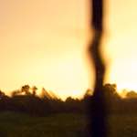 image: Image from the photoset ‘
eindhoven (x)
’.