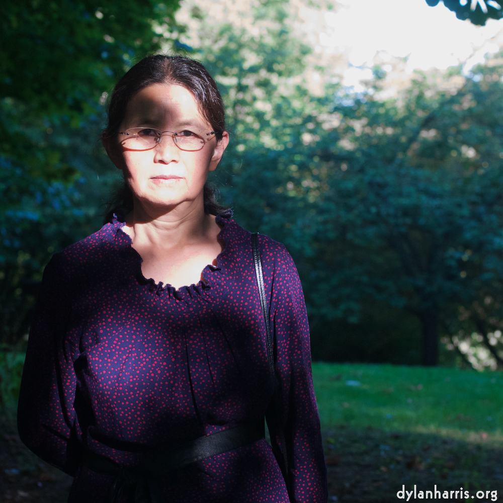 Image: Image 'L (v) 1'.