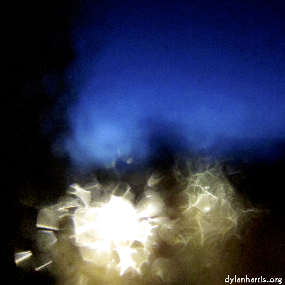 Image 'esch–sur–alzette (viii) 2', at Escher Déierepark, head and torso of a doe.