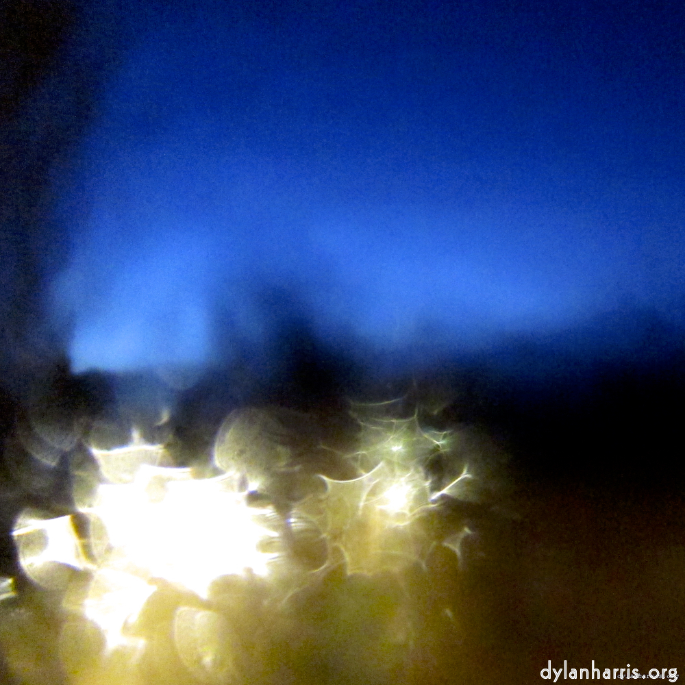 Image 'esch–sur–alzette (viii) 4', at Escher Déierepark, a doe realises I’ve no treats.