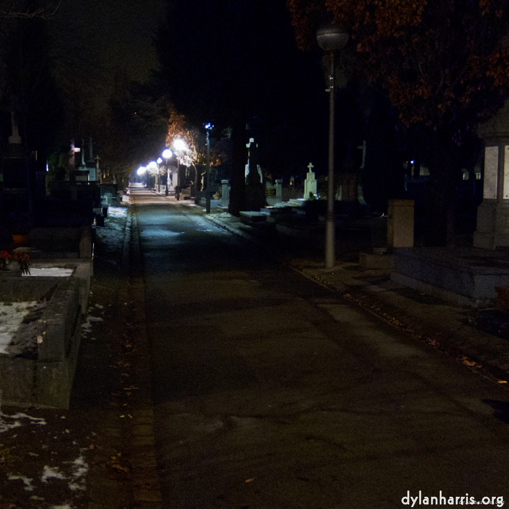 image: This is ‘
walking home … 6
’.