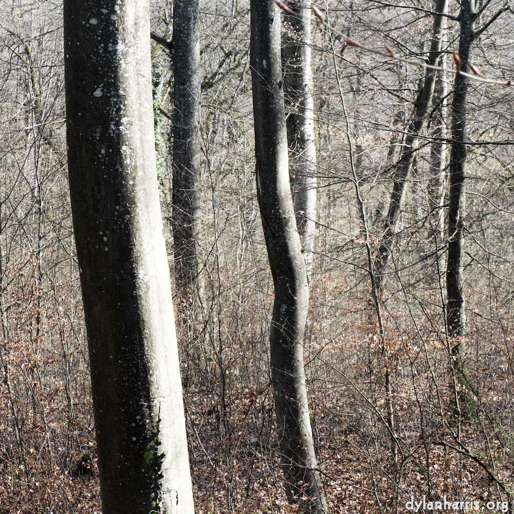 image: This is ‘
wood (xxxviii) 1
’.