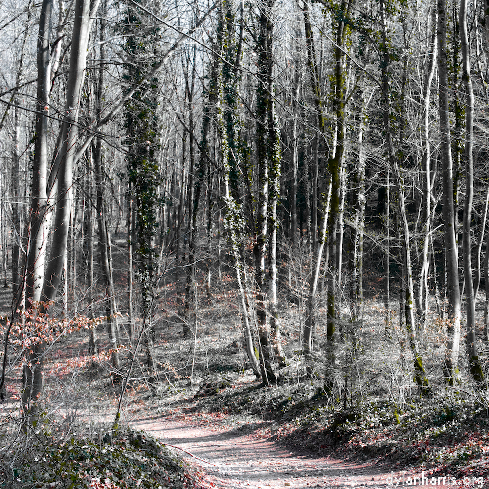 image: This is ‘
wood (xxxviii) 3
’.