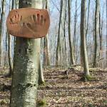 image: Image from the photoset ‘
terres rouges (xii)
’.