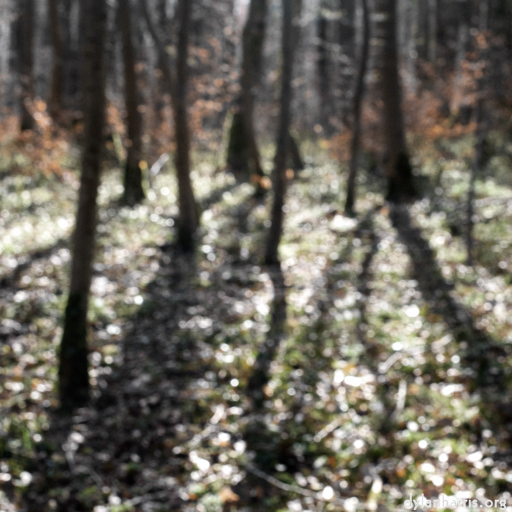 image: This is ‘
wood (xxxix) 1
’.