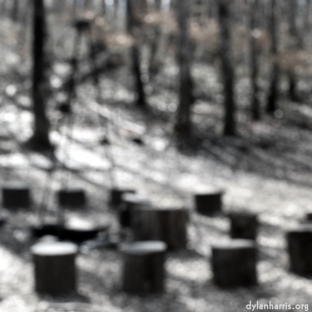 image: This is ‘
wood (xxxix) 2
’.