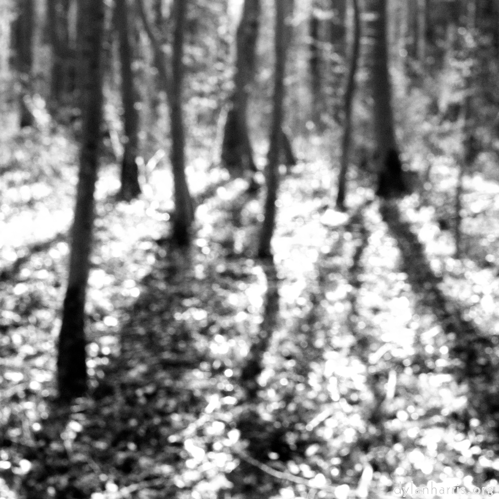 image: This is ‘
wood (xxxix) 3
’.