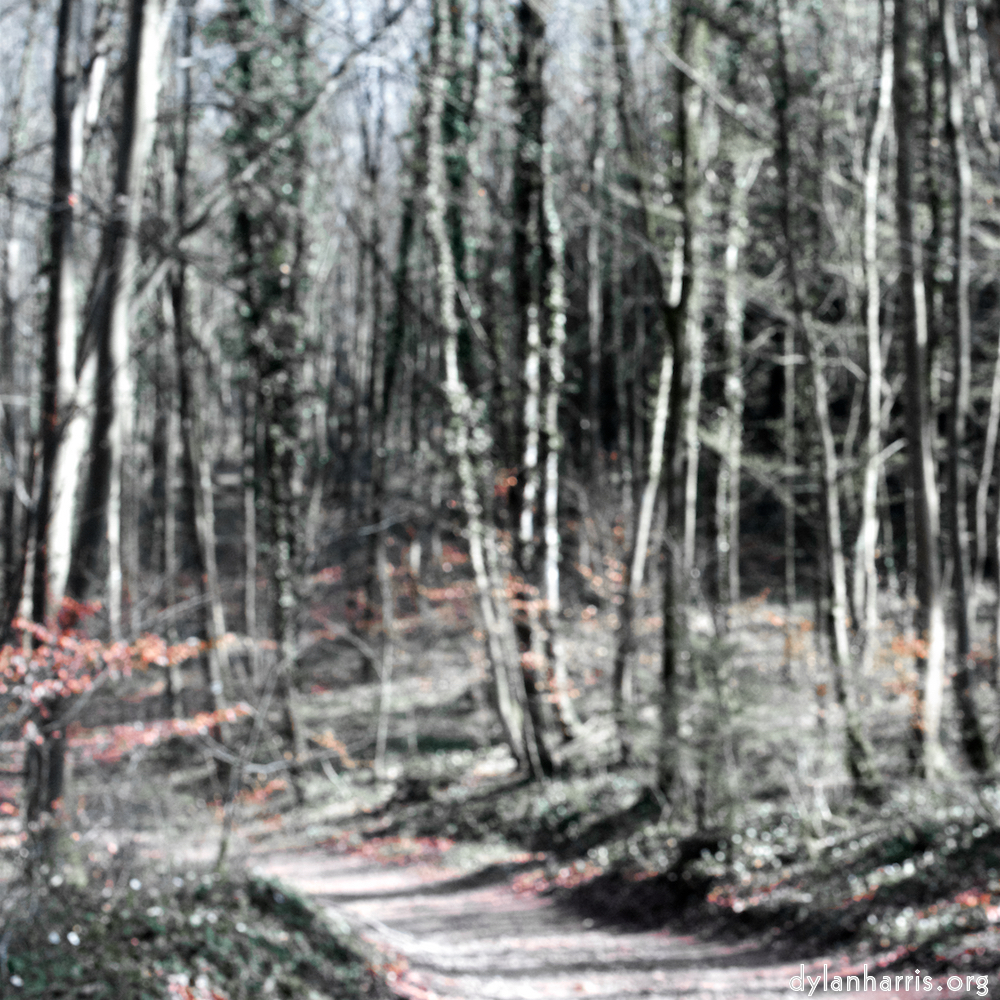 image: This is ‘
wood (xxxix) 4
’.