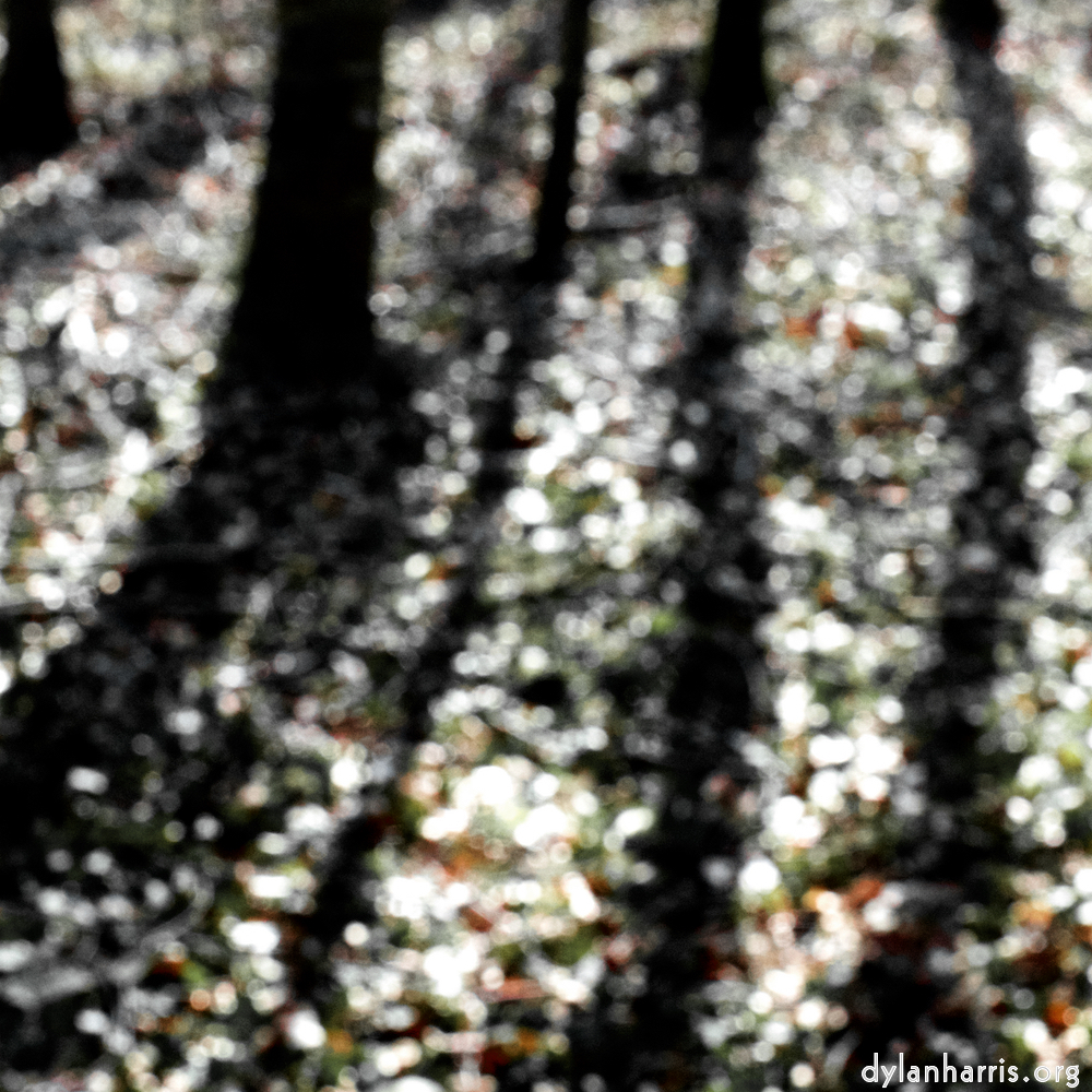 image: This is ‘
wood (xxxix) 5
’.