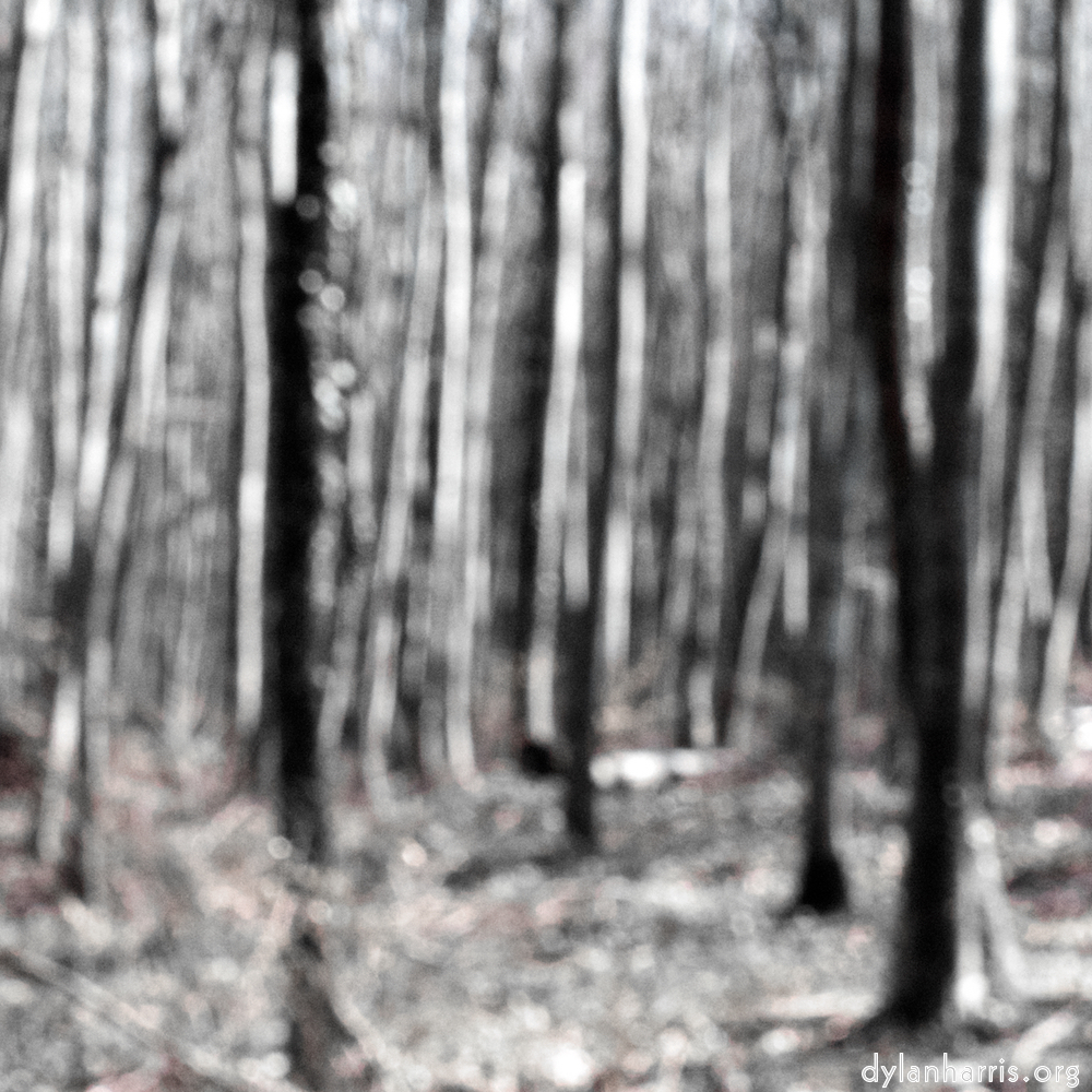 image: This is ‘
wood (xxxix) 6
’.