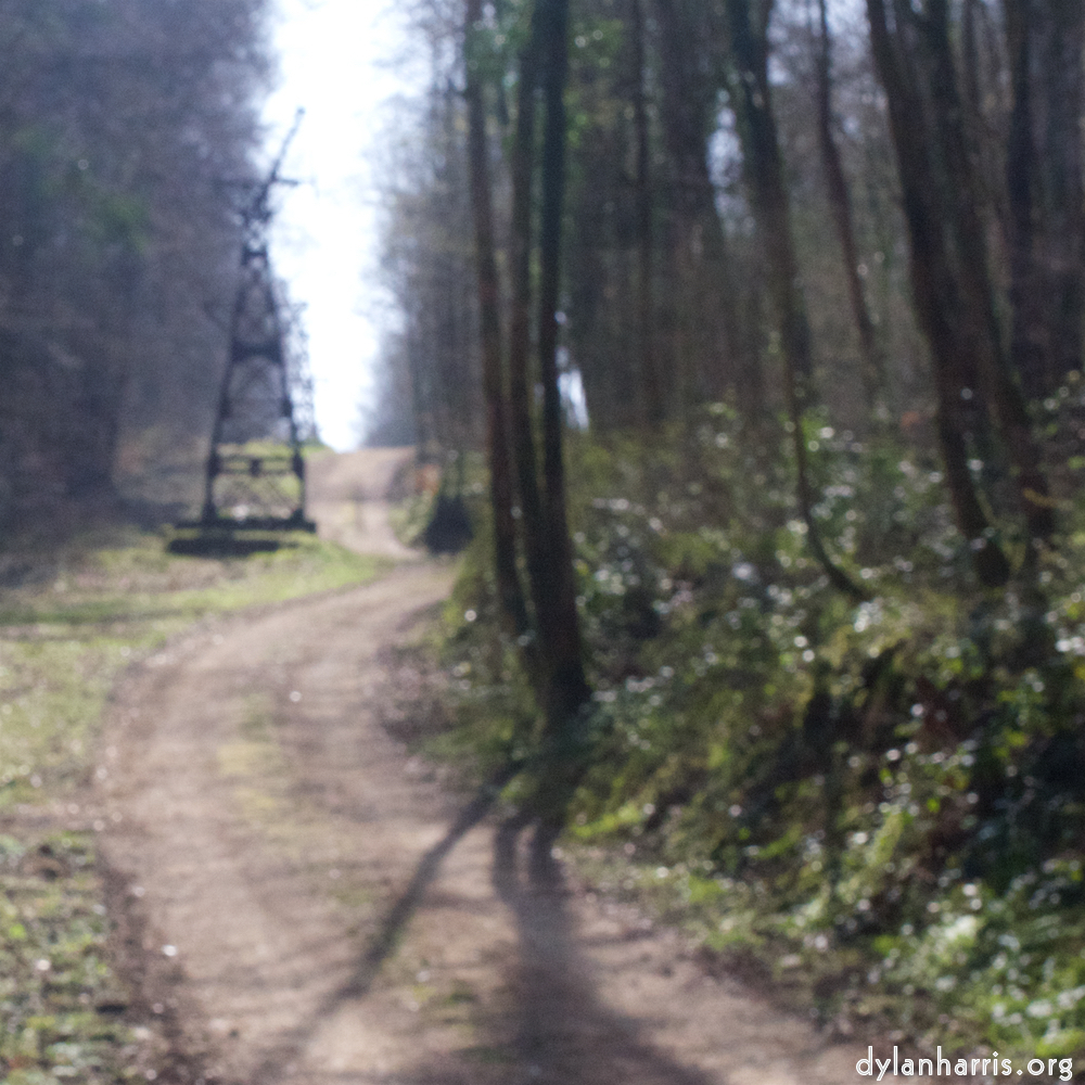 image: This is ‘
wood (xl) 2
’.