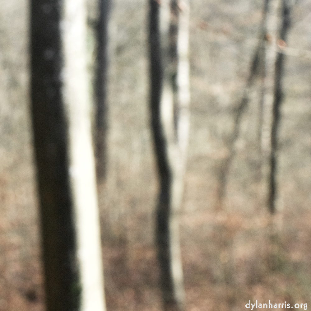 image: This is ‘
wood (xl) 4
’.