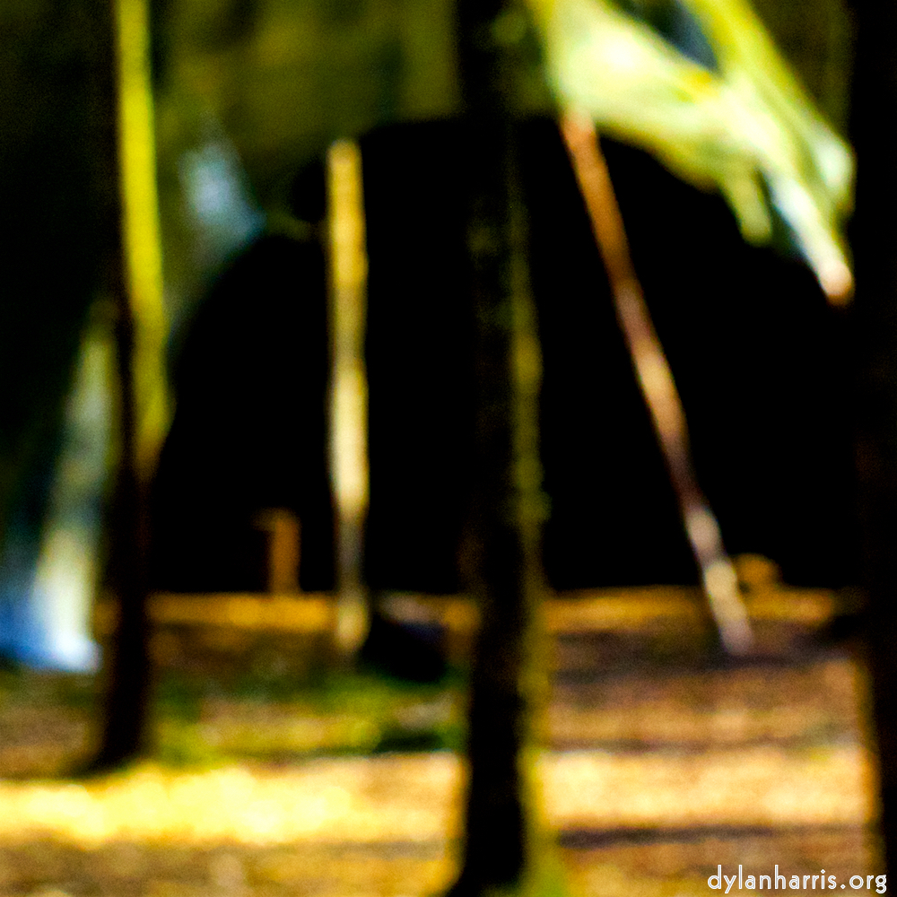 image: This is ‘
wood (xl) 5
’.