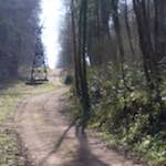 image: Image from the photoset ‘
wood (xl)
’.