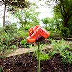 Image: Seventh image from the photoset 'escher blummen (xii)'.