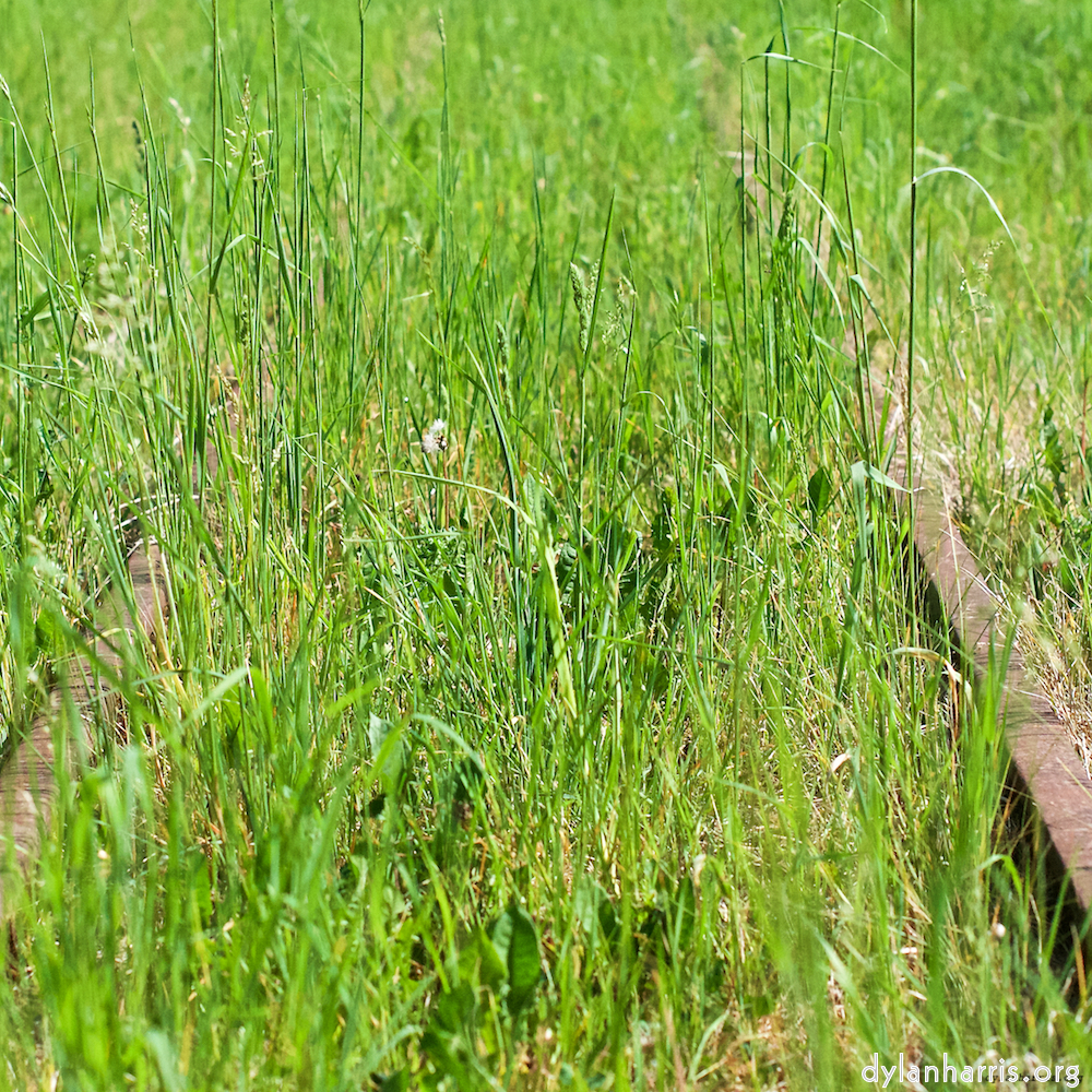 Image 'terres rouges (iii) 6'