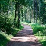 Image: First image from the photoset 'terres rouges (iv)'.