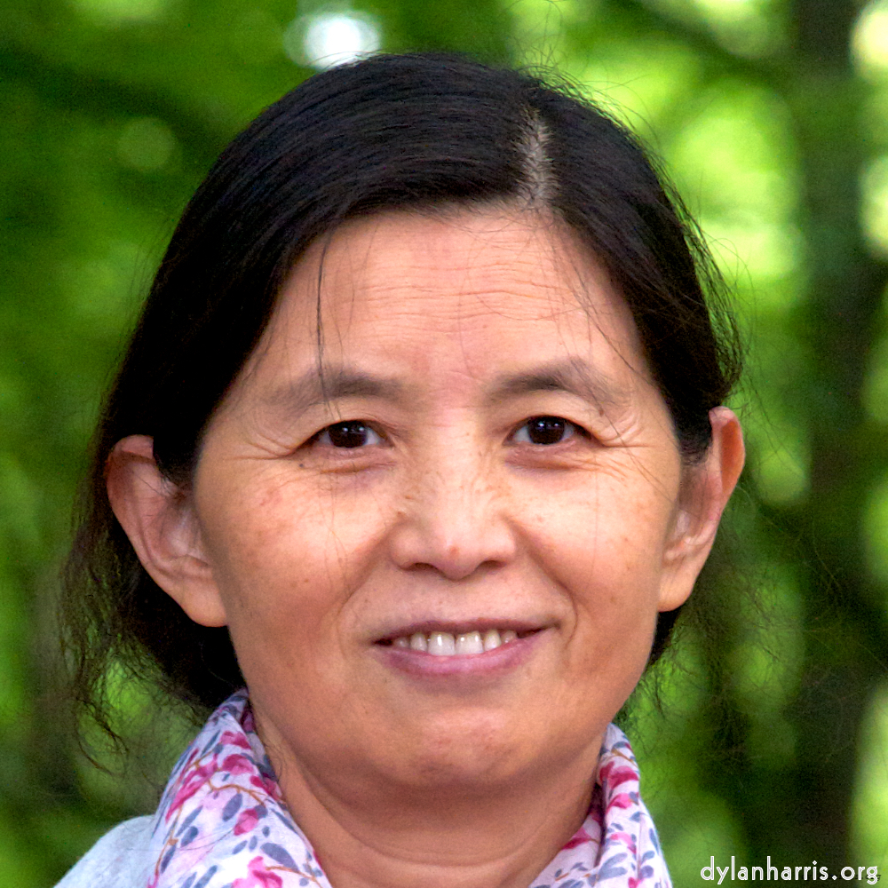 Image: Image 'L (ii) 3'.